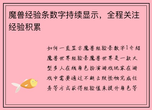 魔兽经验条数字持续显示，全程关注经验积累
